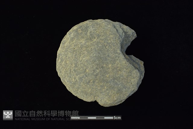 石圓片藏品圖，第1張