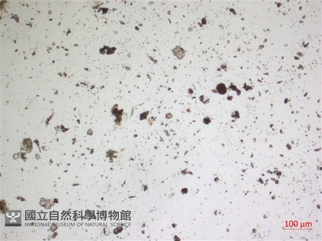 登錄號:A00004673藏品圖，第2張