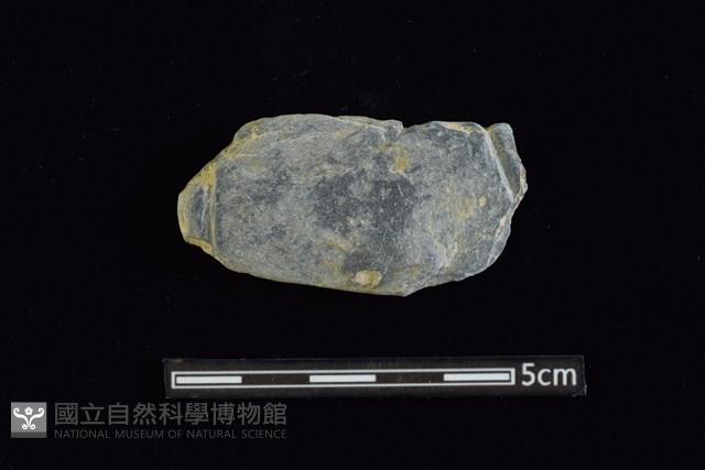 網墜藏品圖，第1張