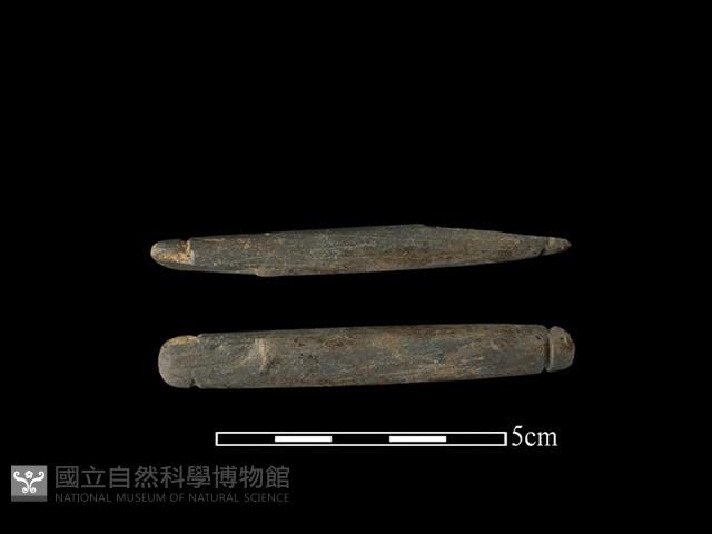 Accession Number:BY-2017-0273 Collection Image