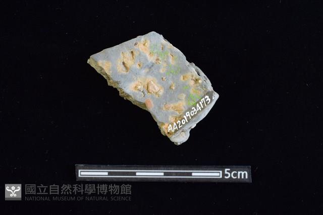 陶片藏品圖，第2張