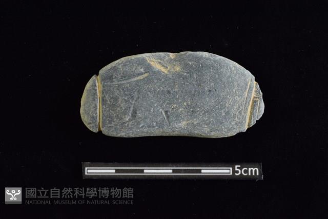 網墜藏品圖，第1張