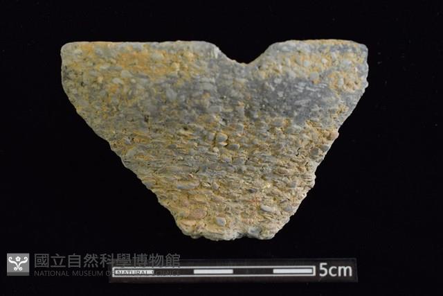 陶罐藏品圖，第1張