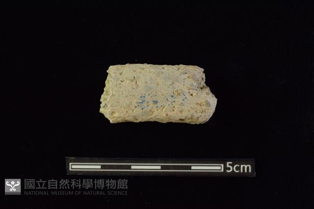 陶把及陶鈕藏品圖，第1張