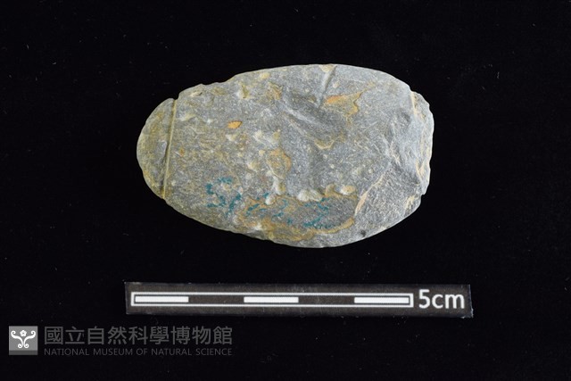 網墜藏品圖，第1張