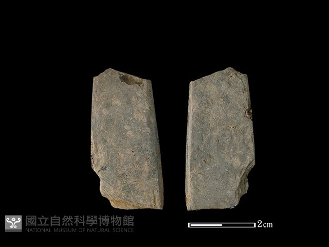 矛鏃形器藏品圖，第1張