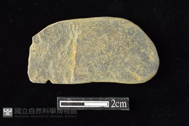 網墜藏品圖，第2張