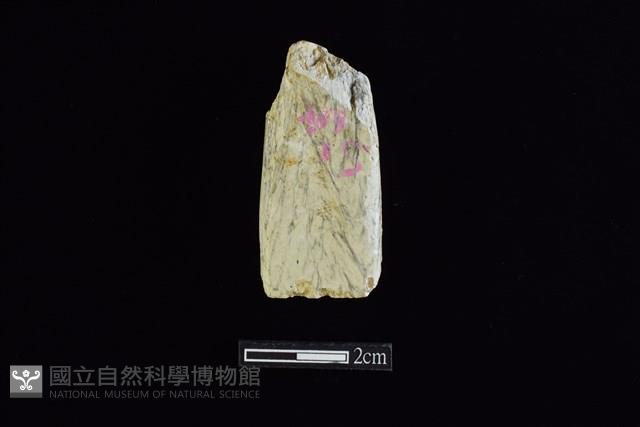 錛鑿形器藏品圖，第2張