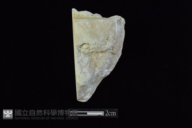 錛鑿形器藏品圖，第1張