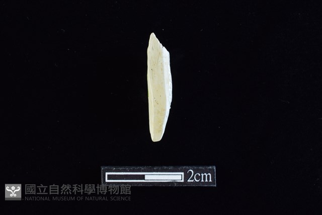 錛鑿形器藏品圖，第1張