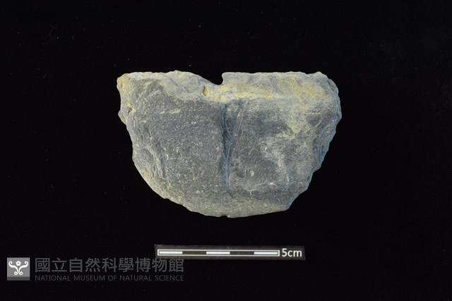 穿孔石板藏品圖，第1張