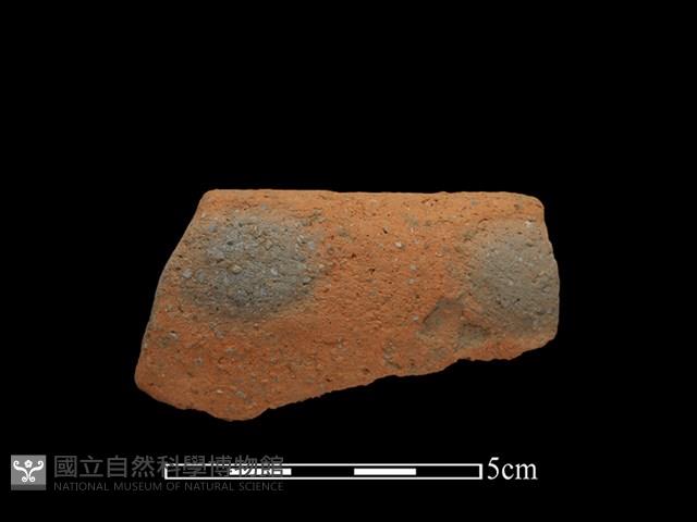 陶缽藏品圖，第1張