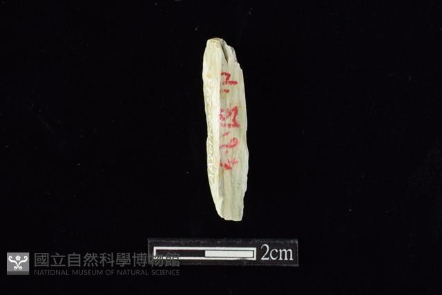 錛鑿形器藏品圖，第2張