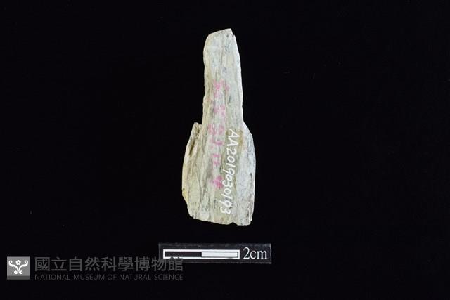 錛鑿形器藏品圖，第2張
