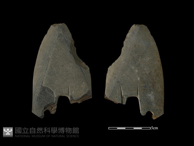 矛鏃形器藏品圖，第1張