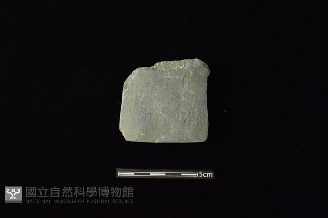 戈形器藏品圖，第1張