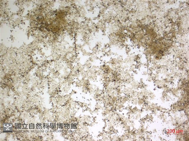 登錄號:A00004593藏品圖，第2張