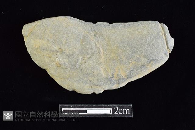 網墜藏品圖，第1張