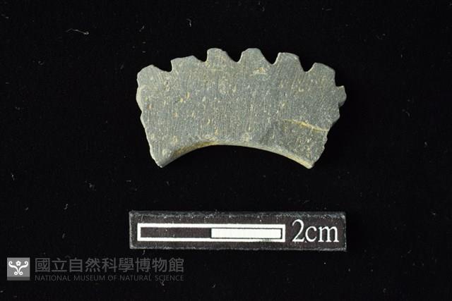 石環藏品圖，第1張