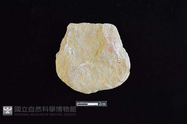 斧鋤形器藏品圖，第2張