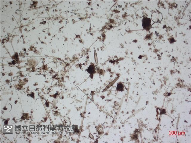 登錄號:A00004643藏品圖，第2張