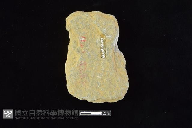 斧鋤形器藏品圖，第2張