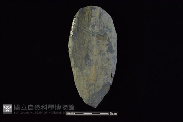 石鎚藏品圖，第2張