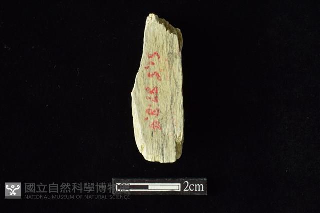 錛鑿形器藏品圖，第2張