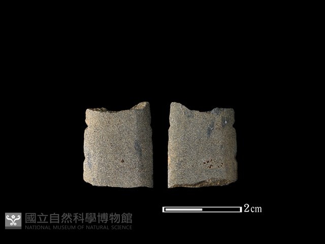 矛鏃形器藏品圖，第1張