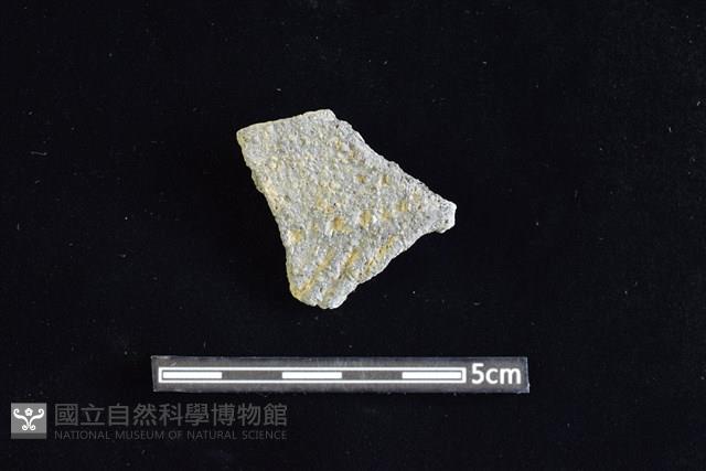 陶片藏品圖，第1張