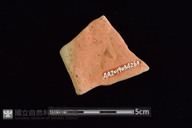 陶片藏品圖，第2張