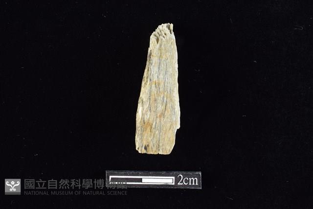 錛鑿形器藏品圖，第2張