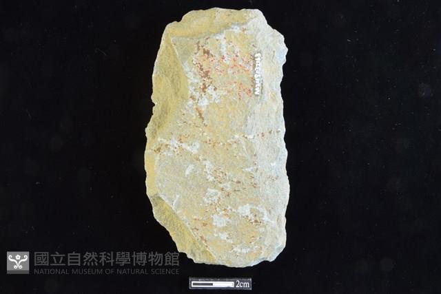 斧鋤形器藏品圖，第2張