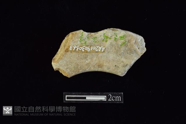 玉環藏品圖，第1張