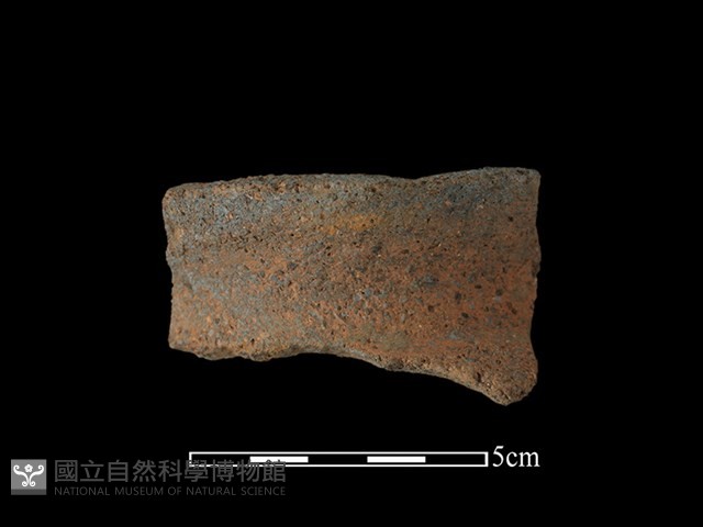 陶罐藏品圖，第1張