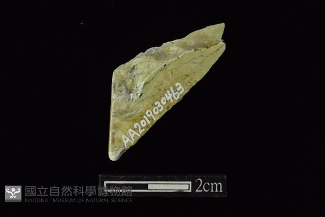 錛鑿形器藏品圖，第2張
