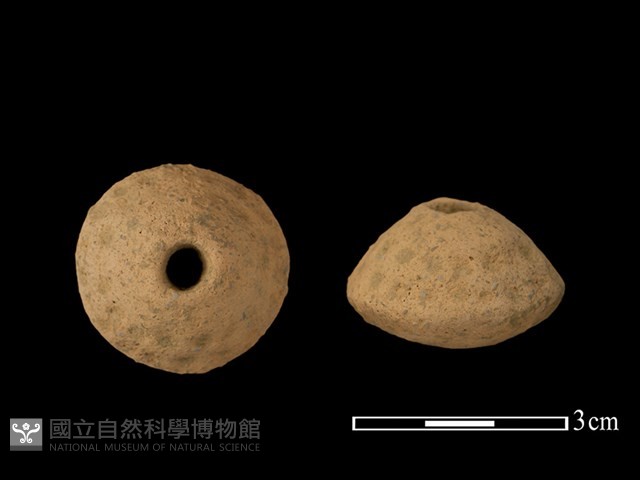 紡輪藏品圖，第1張