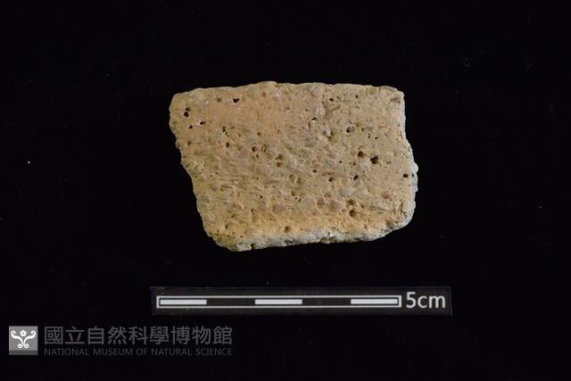 陶罐藏品圖，第1張