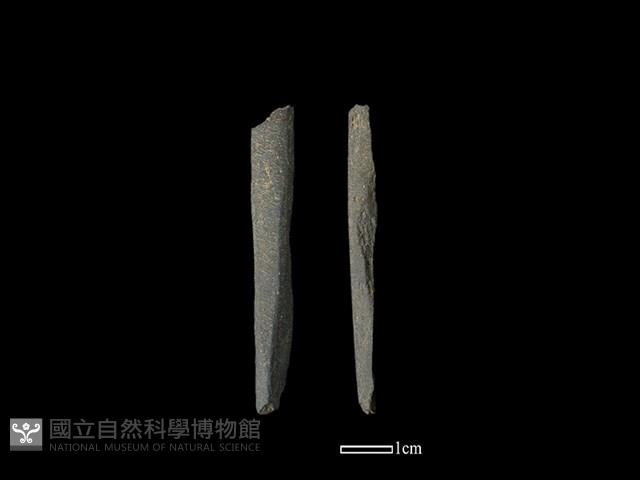 磨製石棒藏品圖，第1張