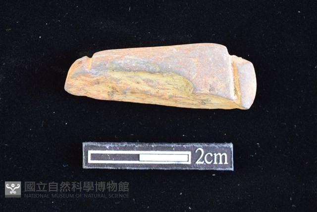 網墜藏品圖，第1張