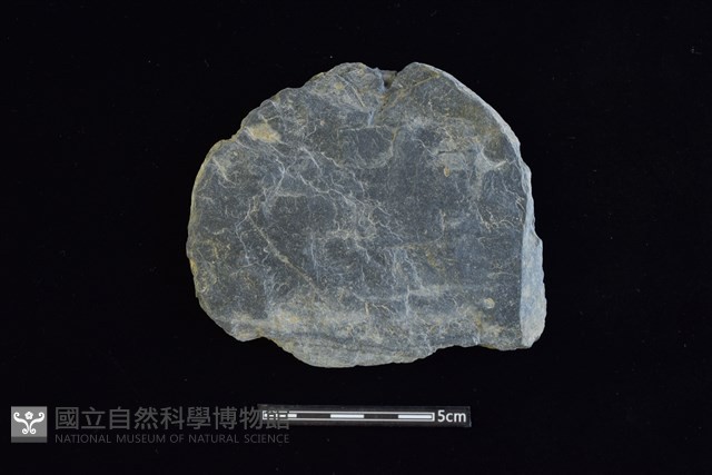 石圓片藏品圖，第1張