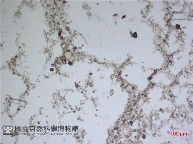 登錄號:A00004603藏品圖，第2張