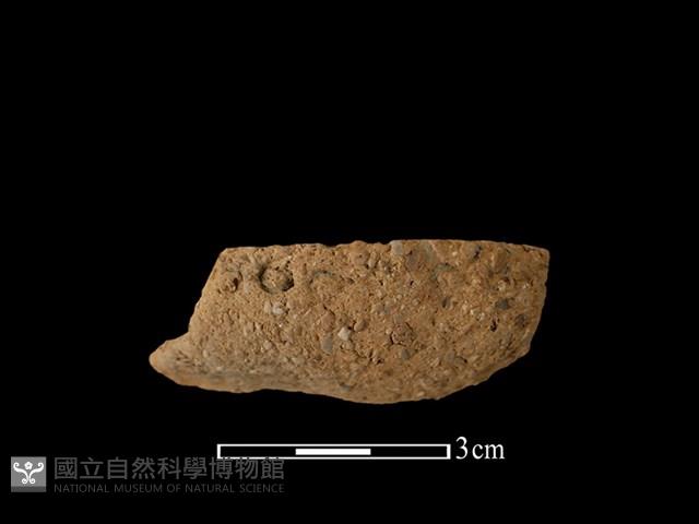 陶罐藏品圖，第1張