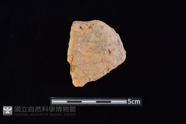 陶片藏品圖，第1張