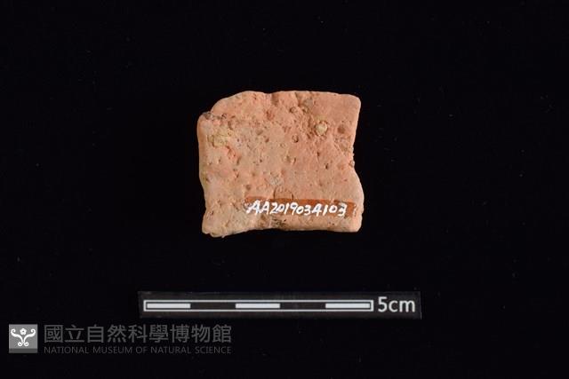 陶罐藏品圖，第2張