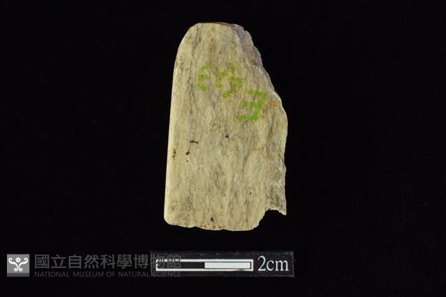 錛鑿形器藏品圖，第2張