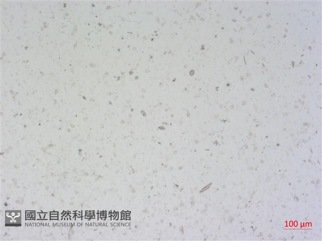 登錄號:A00004503藏品圖，第2張