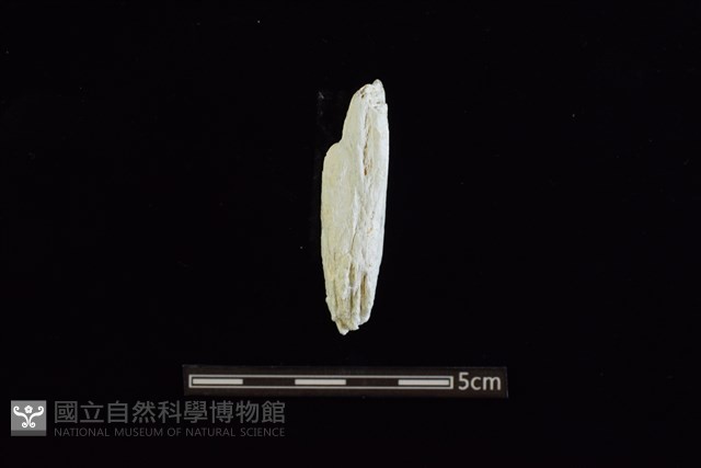 玉料藏品圖，第1張