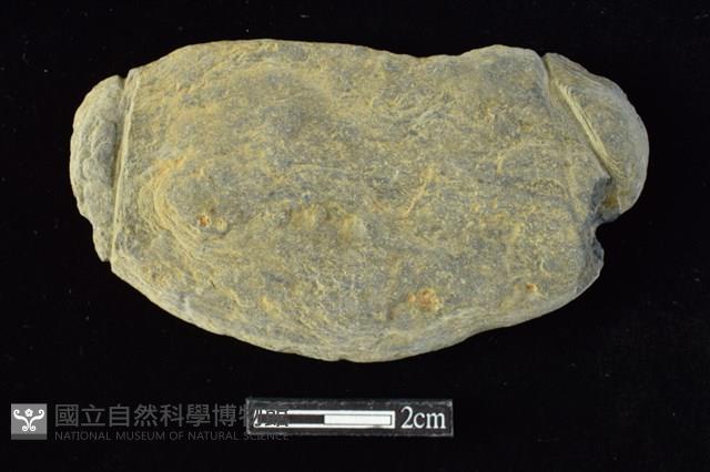 網墜藏品圖，第1張