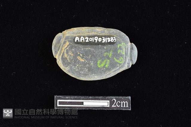 網墜藏品圖，第2張